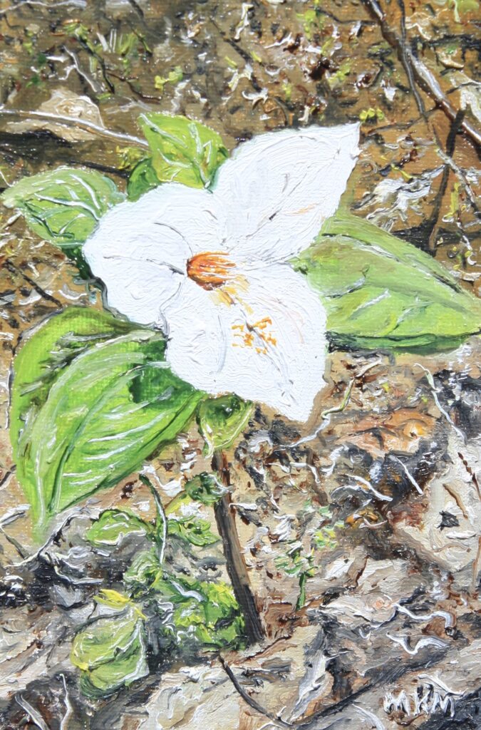 oil painting by Martha K. Moore of a single, white Trillium blossom