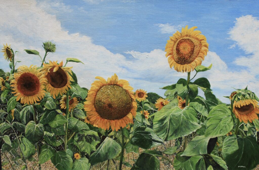 oil on canvas painting by Martha K. Moore of a field of blooming sunflowers